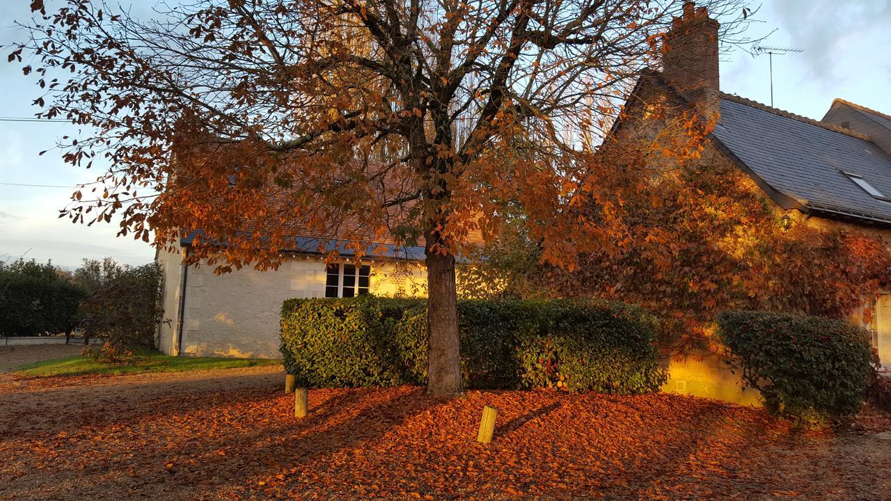 Moulin De Bacchus - Chateaux De La Loire Chançay Kültér fotó