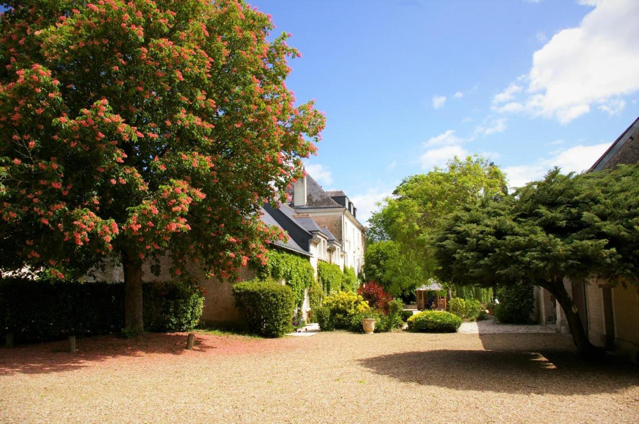 Moulin De Bacchus - Chateaux De La Loire Chançay Kültér fotó